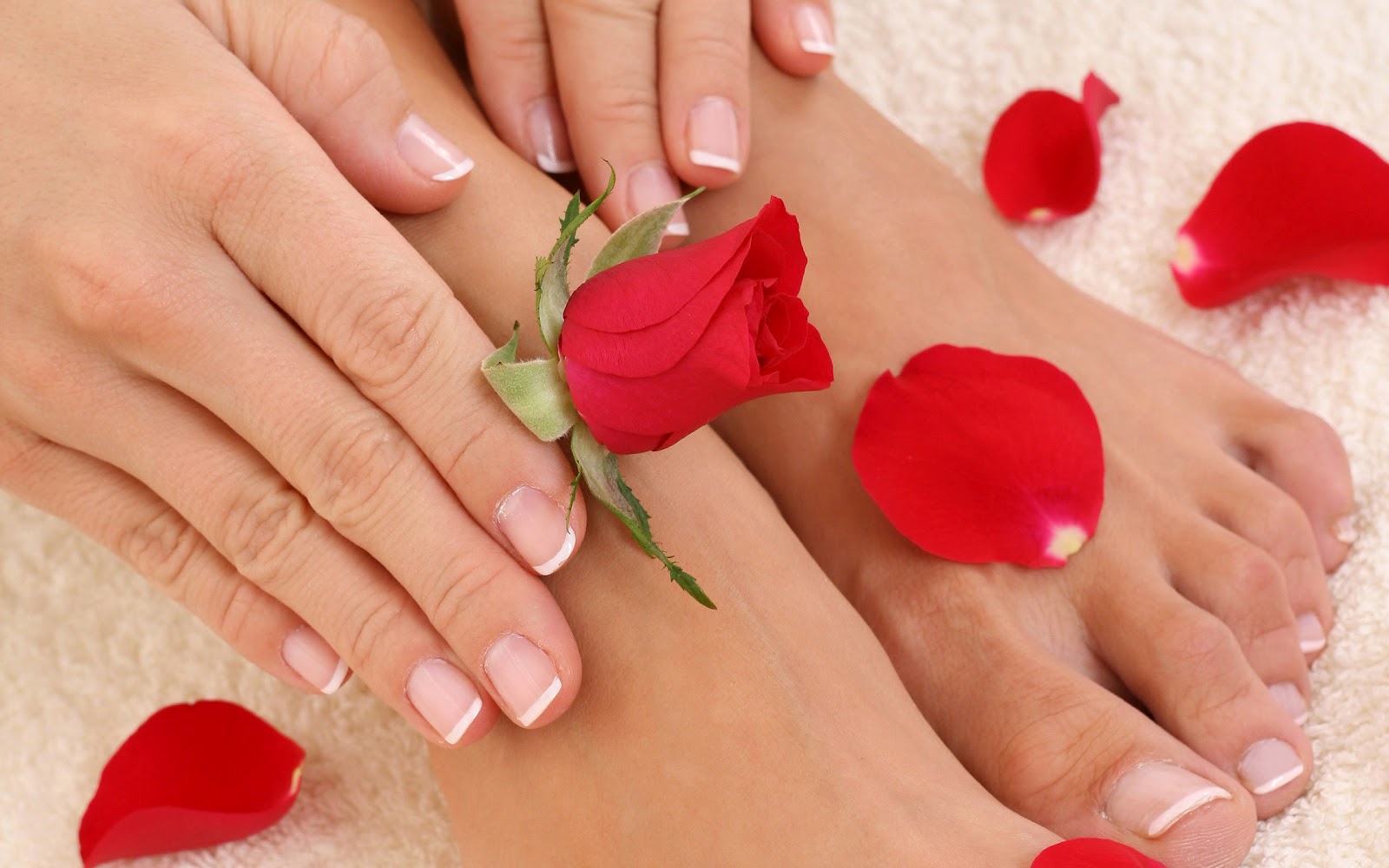 handen voeten met rozen